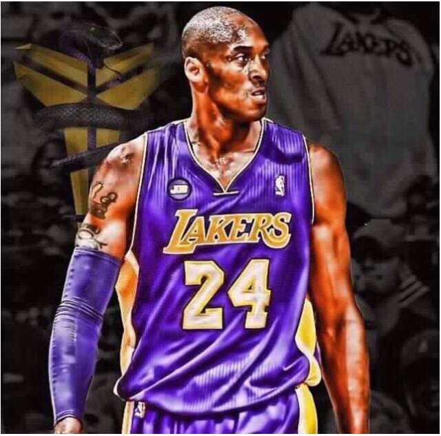 乒乓球领域 乒乓球领域