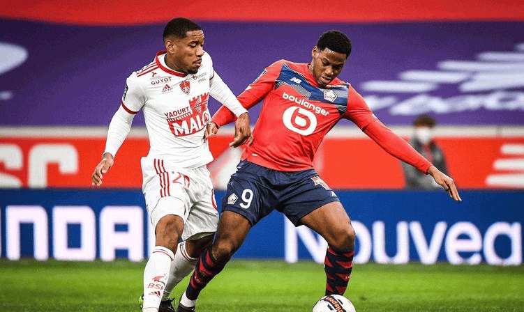 通过两翼的 通过两翼的